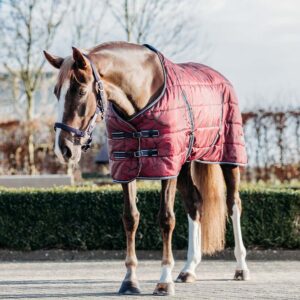 Coperta da box "Start Collection" Saddlery 200gr