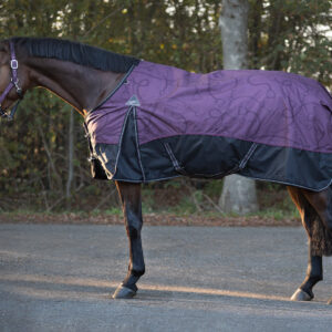 Coperta da paddock Turnout Collection Mystical 300gr