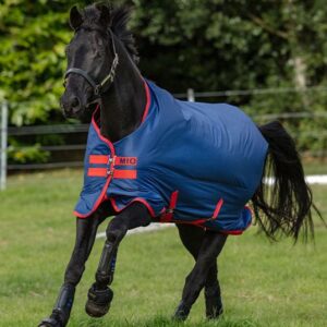Coperta da paddock Mio Turnout 0gr Dark Blue/Dark Blue/Red