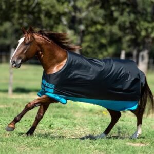 Coperta da paddock Mio Turnout 200gr Black/Turquoise/Black