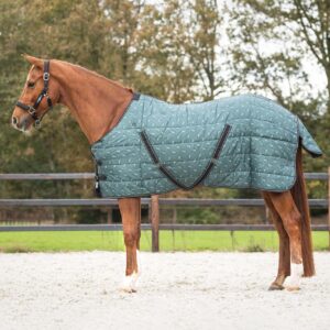 Coperta da box "Start Collection" Emerald 200gr