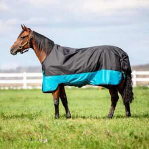 Coperta da paddock Mio Turnout 0gr Black/Turquoise/Black