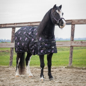 Coperta da paddock 100gr Lize