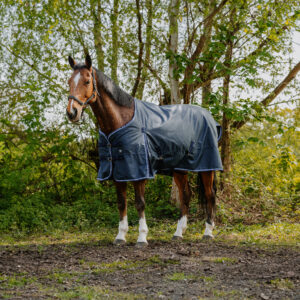 Coperta da paddock RIDING WORLD - Eco 1200D 220gr Blue Navy